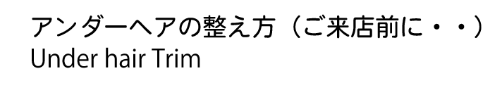 脱毛アンダーヘア整える 脱毛アンダーヘア整える