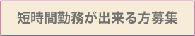 LAPIS求人 LAPIS求人