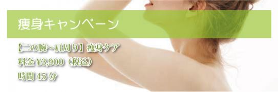 秋の痩身 秋の痩身